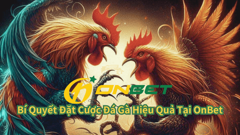 Bí Quyết Đặt Cược Đá Gà Hiệu Quả Tại OnBet