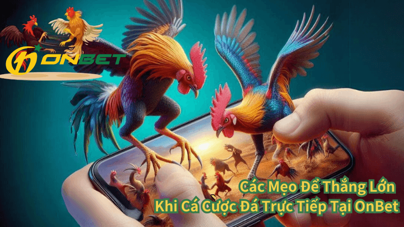 Các Mẹo Để Thắng Lớn Khi Cá Cược Đá Trực Tiếp Tại OnBet