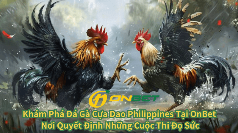 Khám Phá Đá Gà Cựa Dao Philippines Tại OnBet Nơi Quyết Định Những Cuộc Thi Đọ Sức